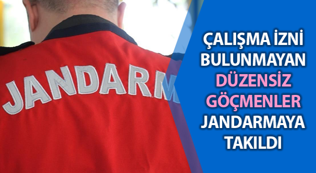 Aydın’da 7 düzensiz göçmen yakalandı