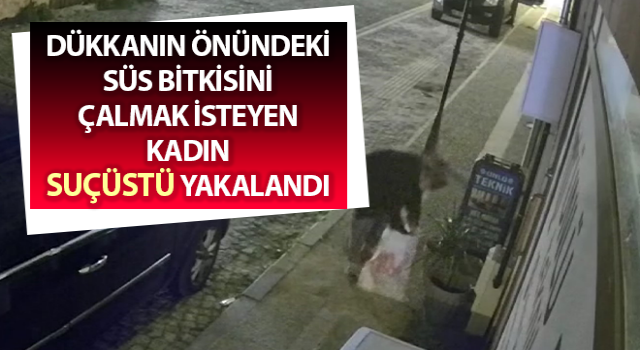 Aydınlı esnafın çiçek hırsızlarıyla başı dertte