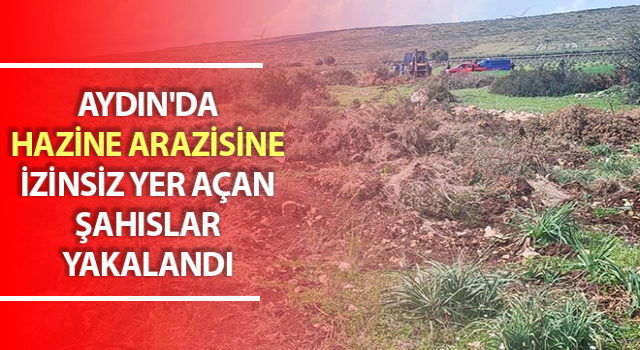 Hazine arazinde izinsiz yer açarken jandarmaya takıldı