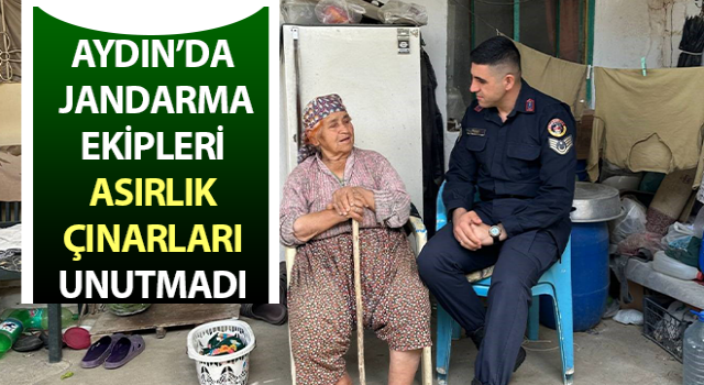 Jandarma asırlık çınarları unutmadı