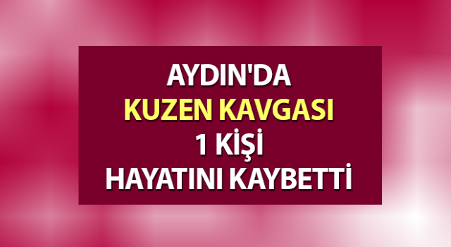 Kuzen kavgası cinayetle son buldu: 1 ölü