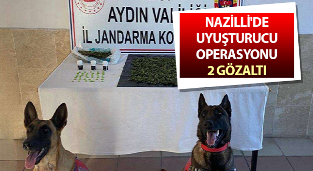 Nazilli'de uyuşturucu operasyonu