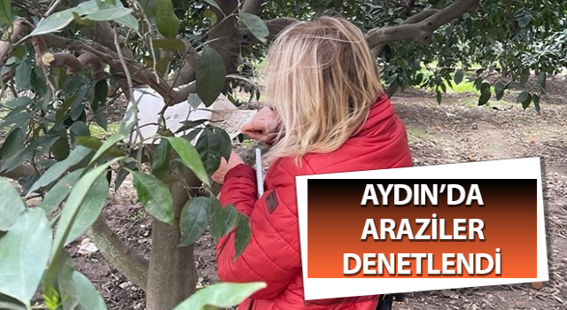 Söke'de araziler denetlendi