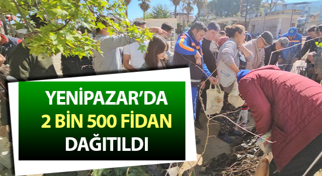 Yenipazar’da 2 bin 500 fidan dağıtıldı