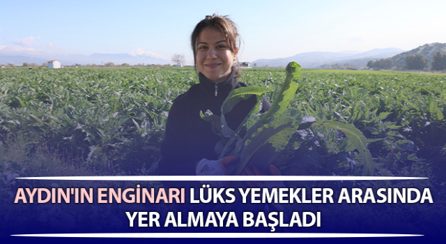 Yeşil elmas 'enginar' tarlada 20, tabakta 400 lira