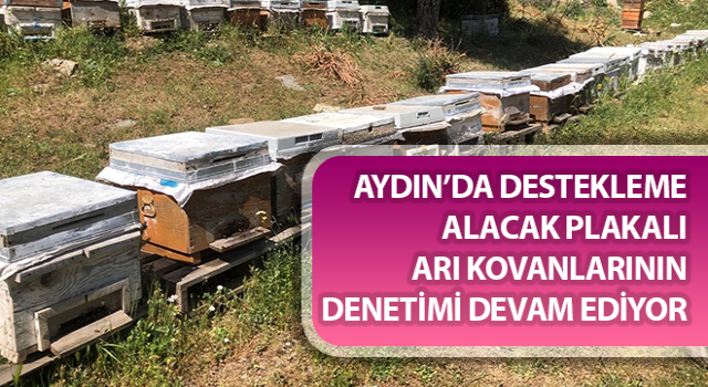 Aydın’da destekleme alacak plakalı arı kovanlarının denetimi sürüyor