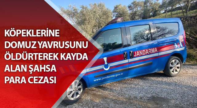 Aydın'da hayvanları öldürüp kaydeden şahsa idari para cezası