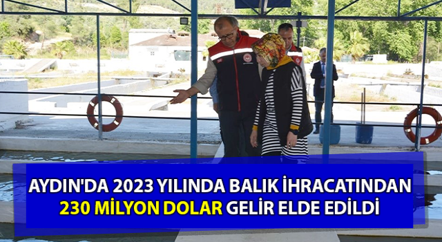 Balık ihracatından 230 milyon dolar gelir elde edildi