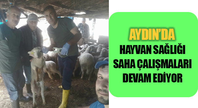 Efeler’de küçükbaş hayvanlar aşılandı