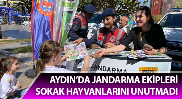 Jandarma sokak hayvanlarını unutmadı