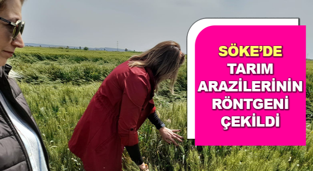 Söke’de arazilerde hastalık ve zararlı takibi yapıldı