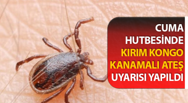 Aydın'da Kırım Kongo Kanamalı Ateş uyarısı yapıldı