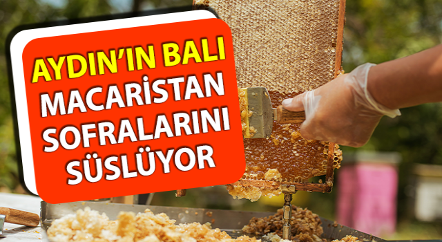 Aydın’da üretilen balların ihracat yolculuğu devam ediyor