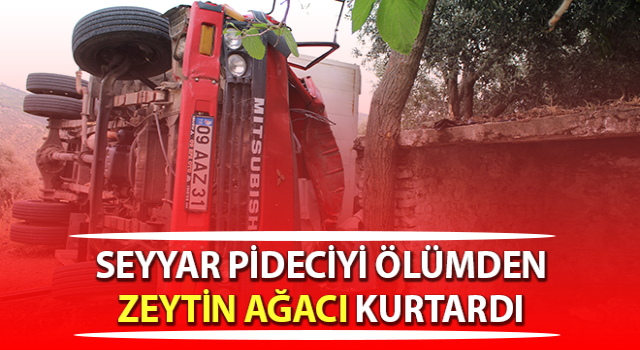 Aydın’da virajı alamayan kamyon devrildi