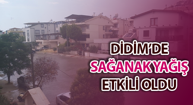 Didim’de sağanak yağış etkili oldu