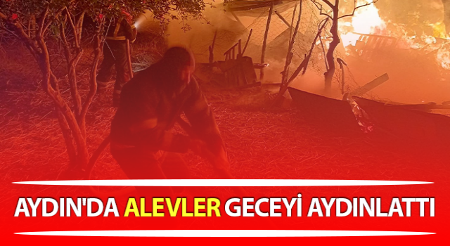 Efeler’de alevler geceyi aydınlattı