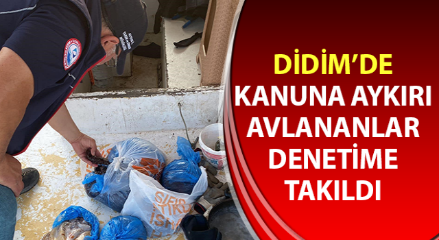 Kanuna aykırı avlananlar denetime takıldı