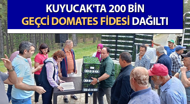 Kuyucak'ta geçci domates fidesi dağıltı