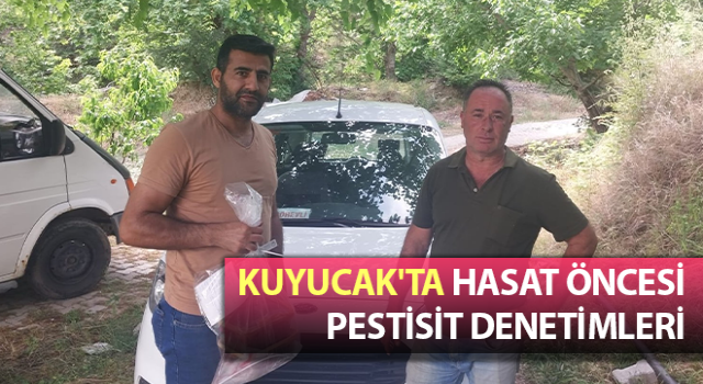 Kuyucak'ta hasat öncesi pestisit denetimleri