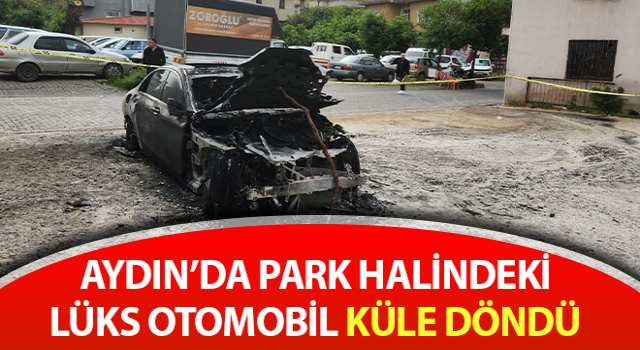 Lüks otomobil küle döndü