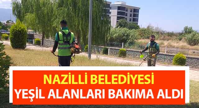 Nazilli Belediyesi, yeşil alanları bakıma aldı