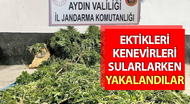 Söke’de 2 şüpheli şahıs yakalandı