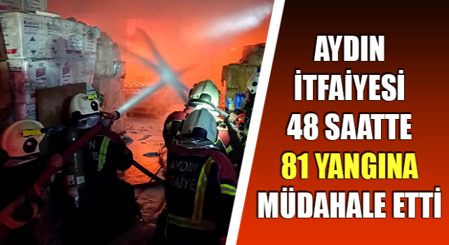 Aydın İtfaiyesi 81 yangına müdahale etti