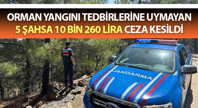 Aydın’da 5 şahsa 10 bin 260 lira ceza kesildi