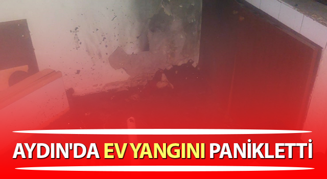 Aydın'da ev yangını panikletti