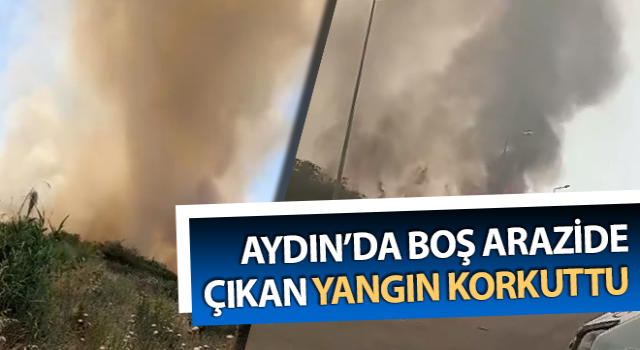 Boş arazide çıkan yangın korkuttu