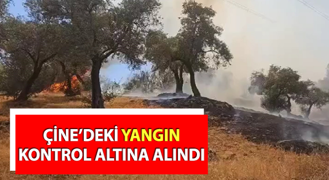 Çine’deki yangın kontrol altına alındı