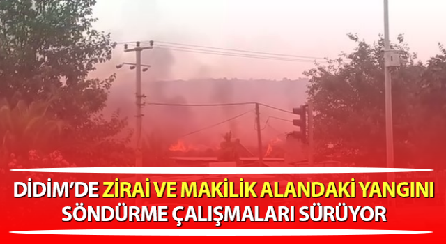 Didim’de zirai ve makilik alanda yangın