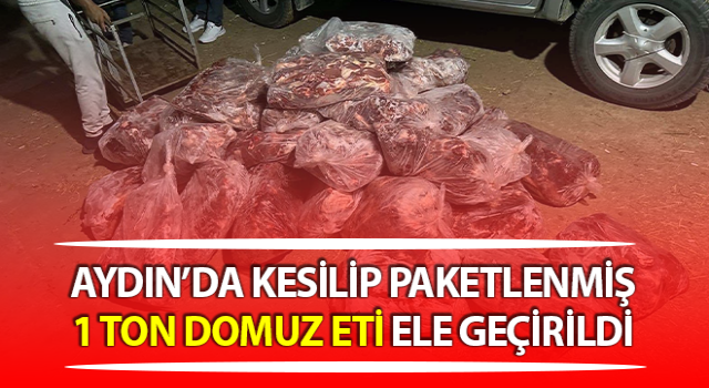 İncirliova'da 1 ton domuz eti ele geçirildi