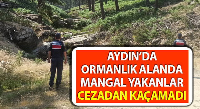 İzinsiz ormanlık alanda mangal yakan 27 şahsa 55 bin TL ceza