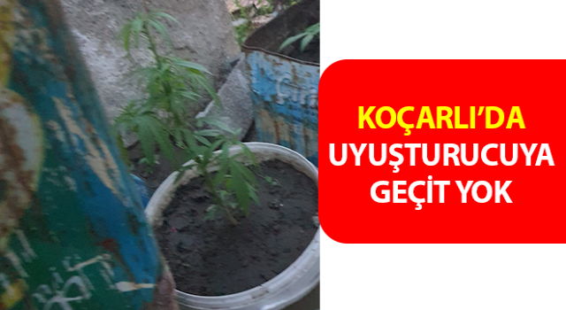 Koçarlı’da uyuşturucuya geçit yok