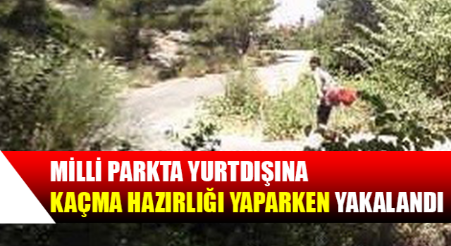 Milli parkta yurtdışına kaçma hazırlığı yaparken yakalandı