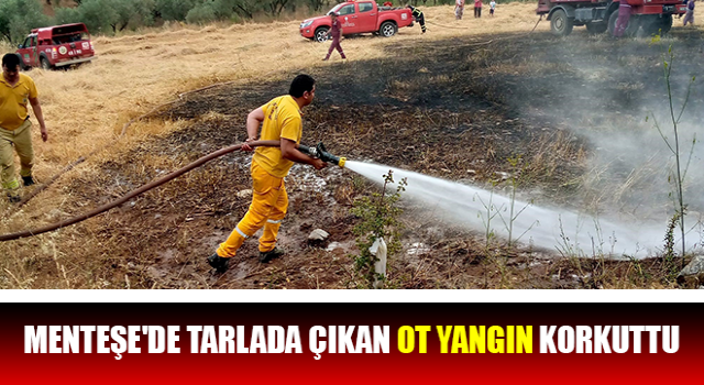 Muğla’da tarla yangını!