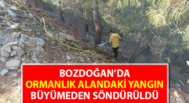 Ormanlık alandaki yangın büyümeden söndürüldü