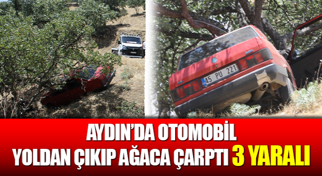 Otomobil yoldan çıkıp ağaca çarptı: 3 yaralı