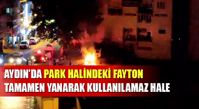 Park halindeki fayton tamamen yanarak kullanılamaz hale geldi