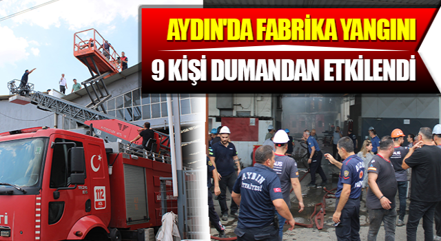 Aydın'da fabrika yangını!