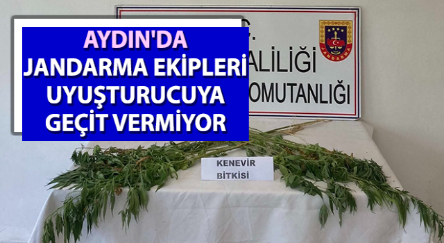 Aydın'da jandarma ekipleri uyuşturucuya geçit vermiyor