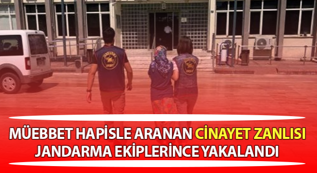 Aydın’da müebbet hapisle aranan cinayet zanlısı yakalandı