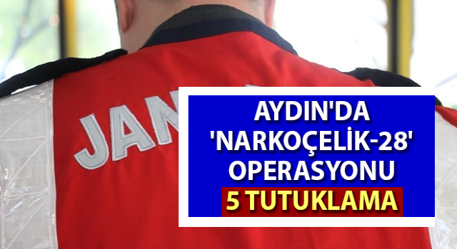 Aydın'da 'Narkoçelik-28' operasyonu