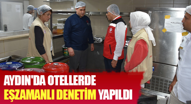 Aydın'da otellerde eşzamanlı denetim yapıldı