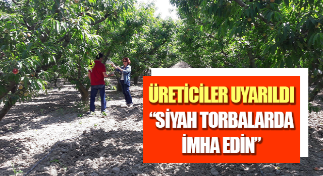 Aydın’da üreticilere uyarı!