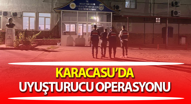 Aydın’da uyuşturucu operasyonu