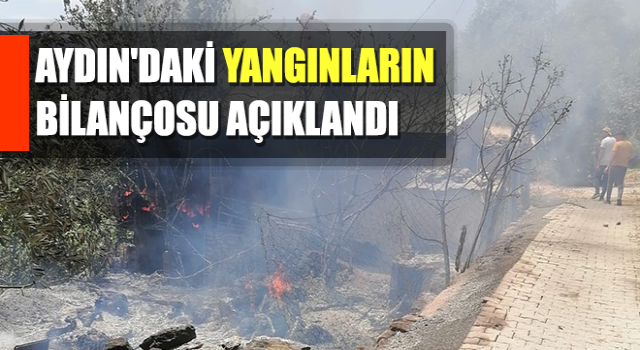 Aydın'daki yangınlarda 14 küçükbaş hayvan telef oldu