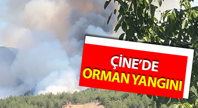 Çine’de orman yangını