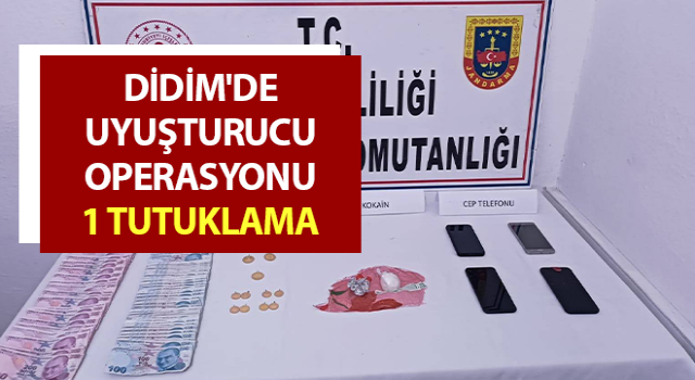 Didim'de uyuşturucu operasyonu: 1 tutuklama